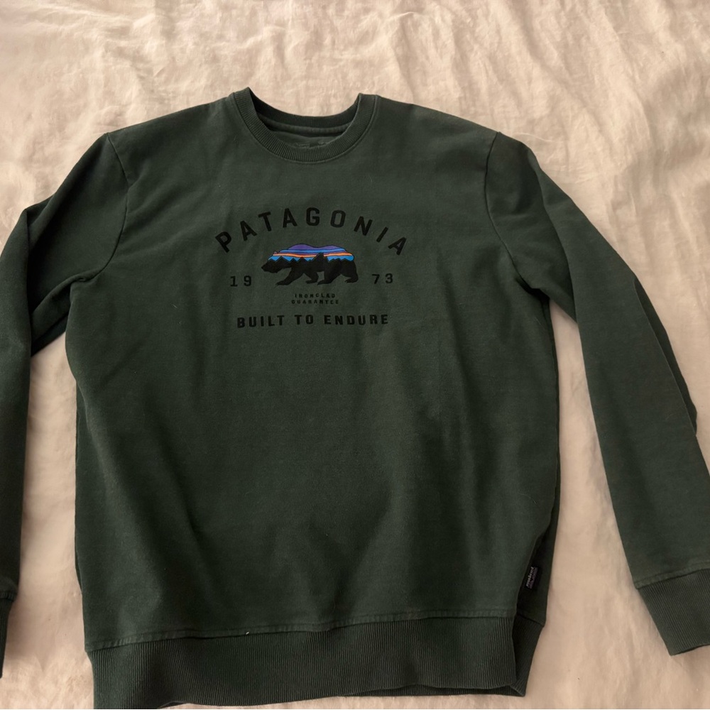 Patagonia Men's Green Sweater
